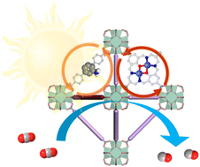 Graphical abstract: Designing dual-atom cobalt catalysts anchored on amino-functionalized MOFs for efficient CO2 photoreduction