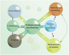 Graphical abstract: Lignin-enhanced wet strength of cellulose-based materials: a sustainable approach