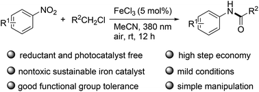 Graphical abstract: Visible-light-induced iron-catalyzed synthesis of N-aryl amides from nitroarenes and chloroalkanes