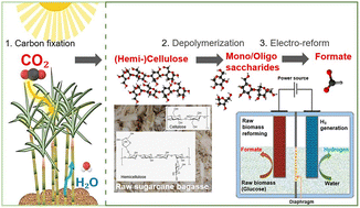 Graphical abstract: Green hydrogen generation assisted by electroreforming of raw sugarcane bagasse waste