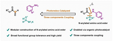 Graphical abstract: Modular construction of N-arylated amino acid esters enabled by a photoredox-catalyzed multicomponent reaction