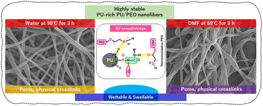 Graphical abstract: Water-based eco-friendly fabrication of physicochemically crosslinked and highly wettable PU-rich electrospun PU/PEO nanofiber composites with exceptional chemical and thermal stability