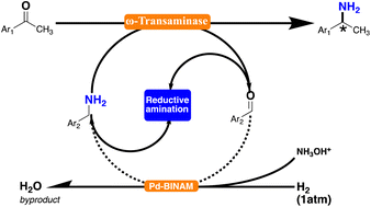 Graphical abstract: Palladium nanocatalyst assisted in situ regeneration of amino donor in a one-enzyme cascade