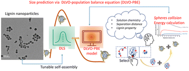 Graphical abstract: Size-tailorable lignin nanoparticle synthesis: effects of solution chemistry and DLVO forces on amphiphilic balance of lignin