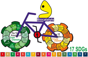 Graphical abstract: From green to circular chemistry paved by biocatalysis