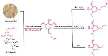 Graphical abstract: Ni5Fe5/Al2O3 catalytic hydrogenolysis of lignin: mechanism investigation and selectivity regulation