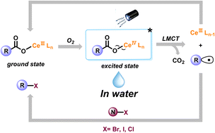 Graphical abstract: Photo-triggered halodecarboxylation of aliphatic carboxylic acids via cerium-mediated ligand-to-metal charge transfer in water