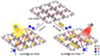 Graphical abstract: Gold nanocrystal-loaded 2D supramolecular network for plasmon-enhanced nitrogen fixation