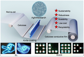 Graphical abstract: Solution-processable robust, recyclable and sustainable cellulose conductor for photoelectric devices via a starch-gluing–Ag nanowires strategy