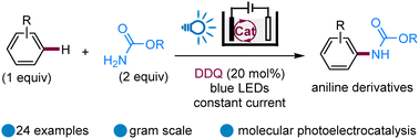Graphical abstract: Photoelectrocatalytic C–H amination of arenes