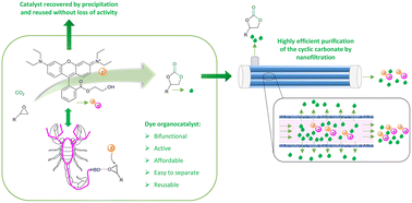 Graphical abstract: Dyes as efficient and reusable organocatalysts for the synthesis of cyclic carbonates from epoxides and CO2