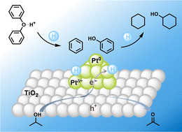 Graphical abstract: Photocatalytic transfer hydrogenolysis of aryl ethers