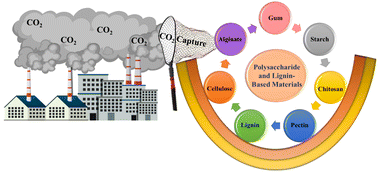 Graphical abstract: Recent developments in polysaccharide and lignin-based (nano)materials for CO2 capture