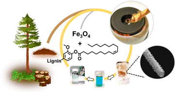 Graphical abstract: Mechanically recyclable melt-spun fibers from lignin esters and iron oxide nanoparticles: towards circular lignin materials