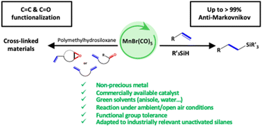 Graphical abstract: MnBr(CO)5: a commercially available highly active catalyst for olefin hydrosilylation under ambient air and green conditions