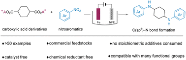 Graphical abstract: Catalyst-free electroreductive carboxylic acid–nitroarene coupling