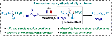 Graphical abstract: Batch and flow electrochemical synthesis of allyl sulfones via sulfonation of allyl trifluoroborates: a robust, regioselective, and scalable approach