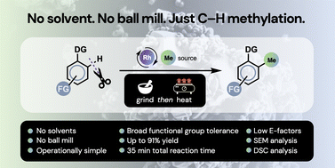 Graphical abstract: Solvent-free and ball mill-free catalytic C–H methylation