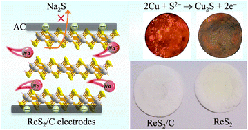 Graphical abstract: Carbon-coated ReS2 hierarchical nanospheres to inhibit polysulfide dissolution in ether-based electrolytes for high-performance Na-ion batteries