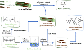 Graphical abstract: Cascade fractionation of birch into xylose, glucan oligomers, and noncondensed lignin improved using microwave assistance and molten salt hydrates