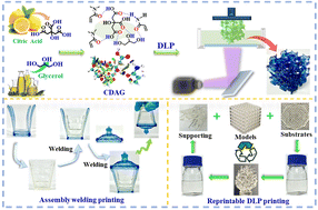 Graphical abstract: High-biobased polymerizable deep eutectic solvents for sustainable DLP printing: assembly welding and reprintable printing