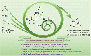 Graphical abstract: Synthesis of α-aminophosphorous derivatives using a deep eutectic solvent (DES) in a dual role