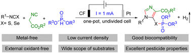 Graphical abstract: Electrooxidation-induced synthesis of 3-thio/selenophosphorylated imidazole: a potent pesticide with good biocompatibility