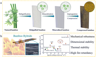Graphical abstract: High strength, superior fire retardancy, and dimensional stability of cellulosic hybrids