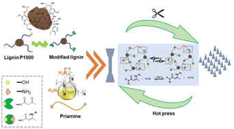 Graphical abstract: Preparation of lignin-based vinylogous urethane vitrimer materials and their potential use as on-demand removable adhesives