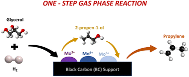 Graphical abstract: Bio-glycerol hydrodeoxygenation to propylene: advancing knowledge on Mo-based catalyst characteristics and reaction pathways under flow conditions