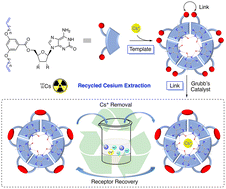 Graphical abstract: Design and synthesis of covalently tethered “isoG-star” as a recyclable host for selective cesium separation