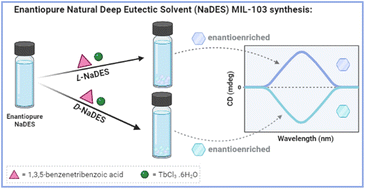 Graphical abstract: Enantiopure natural deep eutectic solvents for metal–organic framework chiral induction