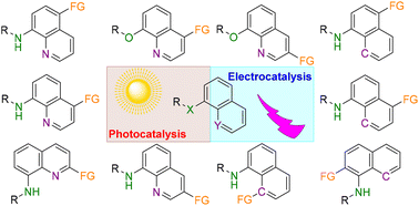 Graphical abstract: Photo/electrocatalytic site-selective C–H functionalization of 8-aminoquinolines and their analogues