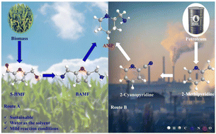 Graphical abstract: A new method for green production of 2-aminomethylpiperidine from bio-renewable 2,5-bis(aminomethyl)furan