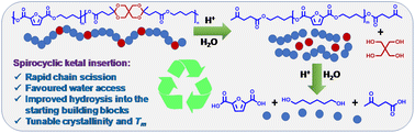 Graphical abstract: Improved chemical recyclability of 2,5-furandicarboxylate polyesters enabled by acid-sensitive spirocyclic ketal units