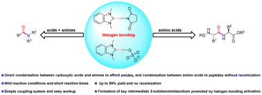 Graphical abstract: Halogen-bonding-mediated synthesis of amides and peptides