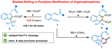 Graphical abstract: Distinct reactivities of ortho-chalcone-substituted organophosphines with activated alkynes: skeletal editing or periphery modification