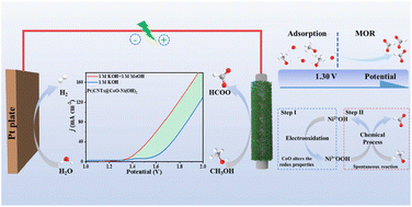 Graphical abstract: Synergism of CoO–Ni(OH)2 nanosheets and MOF-derived CNTs array for methanol electrolysis