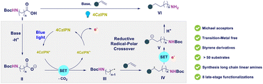 Graphical abstract: Selective synthesis of functionalized linear aliphatic primary amines via decarboxylative radical-polar crossover