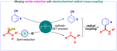Graphical abstract: Deoxygenative arylation of secondary amides by merging iridium catalysis with electrochemical radical cross-coupling