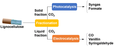 Graphical abstract: Valorisation of lignocellulose and low concentration CO2 using a fractionation–photocatalysis–electrolysis process