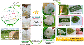 Graphical abstract: Highly transparent polyurethane thermosets with tunable properties and enzymatic degradability derived from polyols originating from hemicellulosic sugars