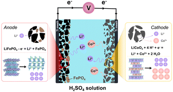 Graphical abstract: Co-recovery of spent LiCoO2 and LiFePO4 by paired electrolysis