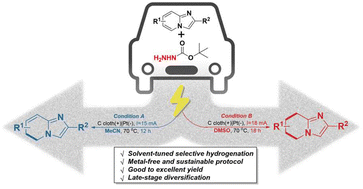 Graphical abstract: Electrochemical-induced solvent-tuned selective transfer hydrogenation of imidazopyridines with carbazates as hydrogen donors