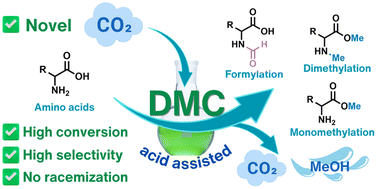 Graphical abstract: A novel approach to amino acid synthesis: acid-assisted reactions with dimethyl carbonate for efficient O-methylated, N,O-methylated and N-formylated derivatives