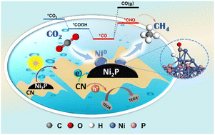 Graphical abstract: The synergy of in situ-generated Ni0 and Ni2P to enhance CO adsorption and protonation for selective CH4 production from photocatalytic CO2 reduction