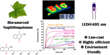 Graphical abstract: Photoinitiators from bio-sourced naphthoquinone – the application of naphthoquinone-based vitamins K1 and K3 in free radical photopolymerization