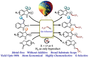 Graphical abstract: Metal- and additive-free TfOH catalyzed chemoselective O- and S-trifluoroethylation of oxindoles, isoindolines and thio-oxindoles