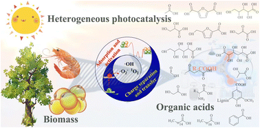 Graphical abstract: Heterogeneous photocatalysis for biomass valorization to organic acids