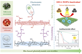 Graphical abstract: A facile and scalable strategy for fabricating bio-based photodynamic antimicrobial nonwoven eco-textiles